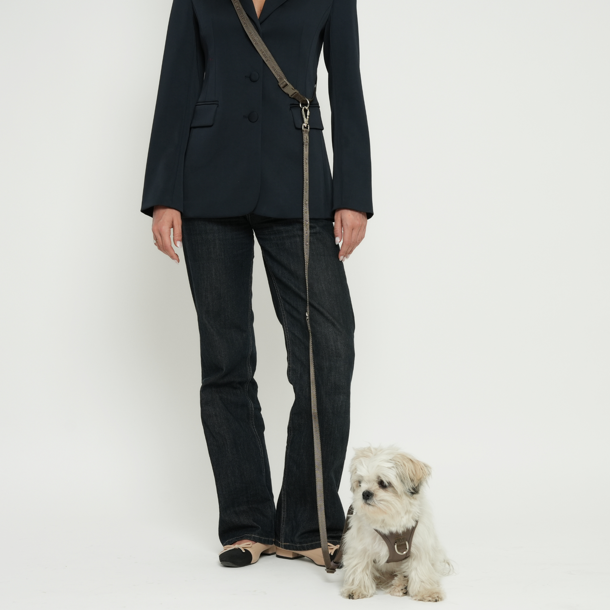 Hands-Free Dog Leash | Taupe