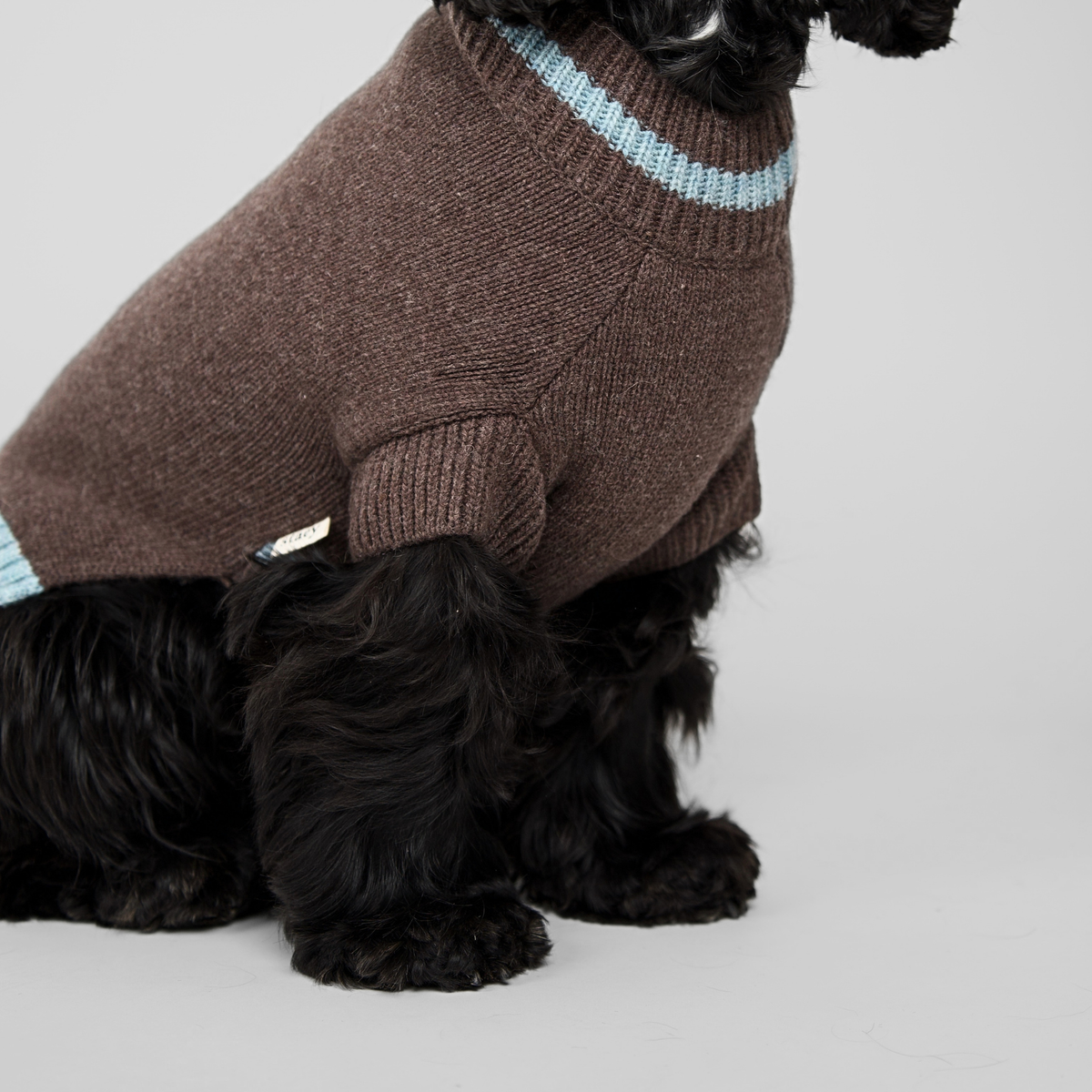 Ellen Dog Sweater | Espresso/Sky Blue