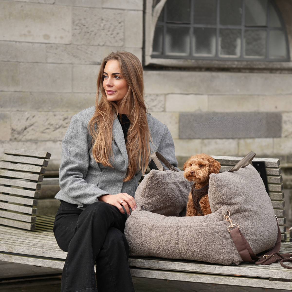 En kvinna på en bänk med en aprikosfärgad pudel i en taupefärgad Bouclé-bilsäte för hund