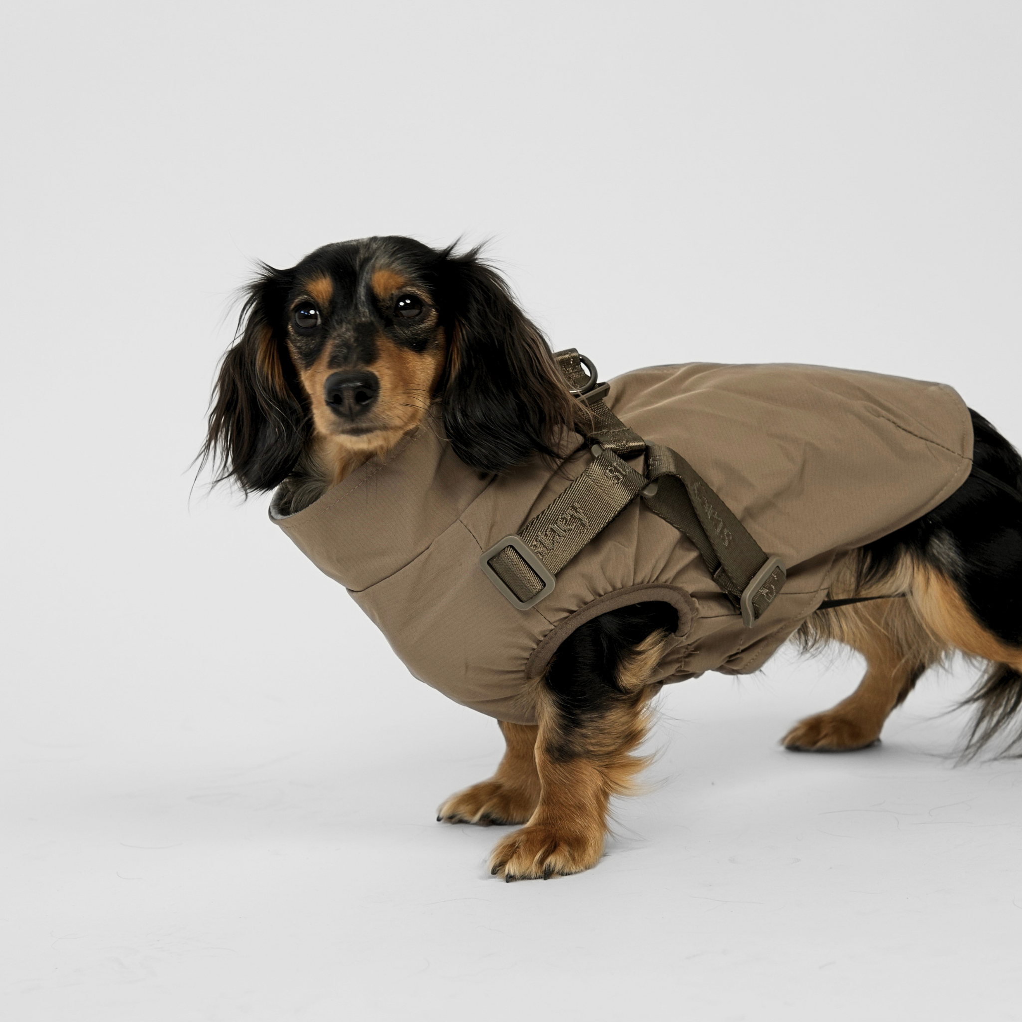 Norma hundkappa m. sele | Taupe