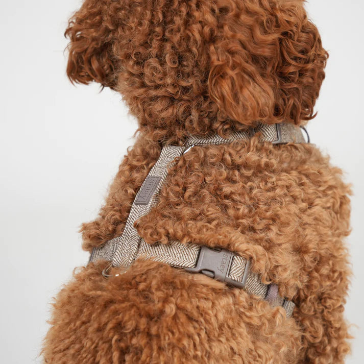 Tara H-Strap hundsele | Mocca