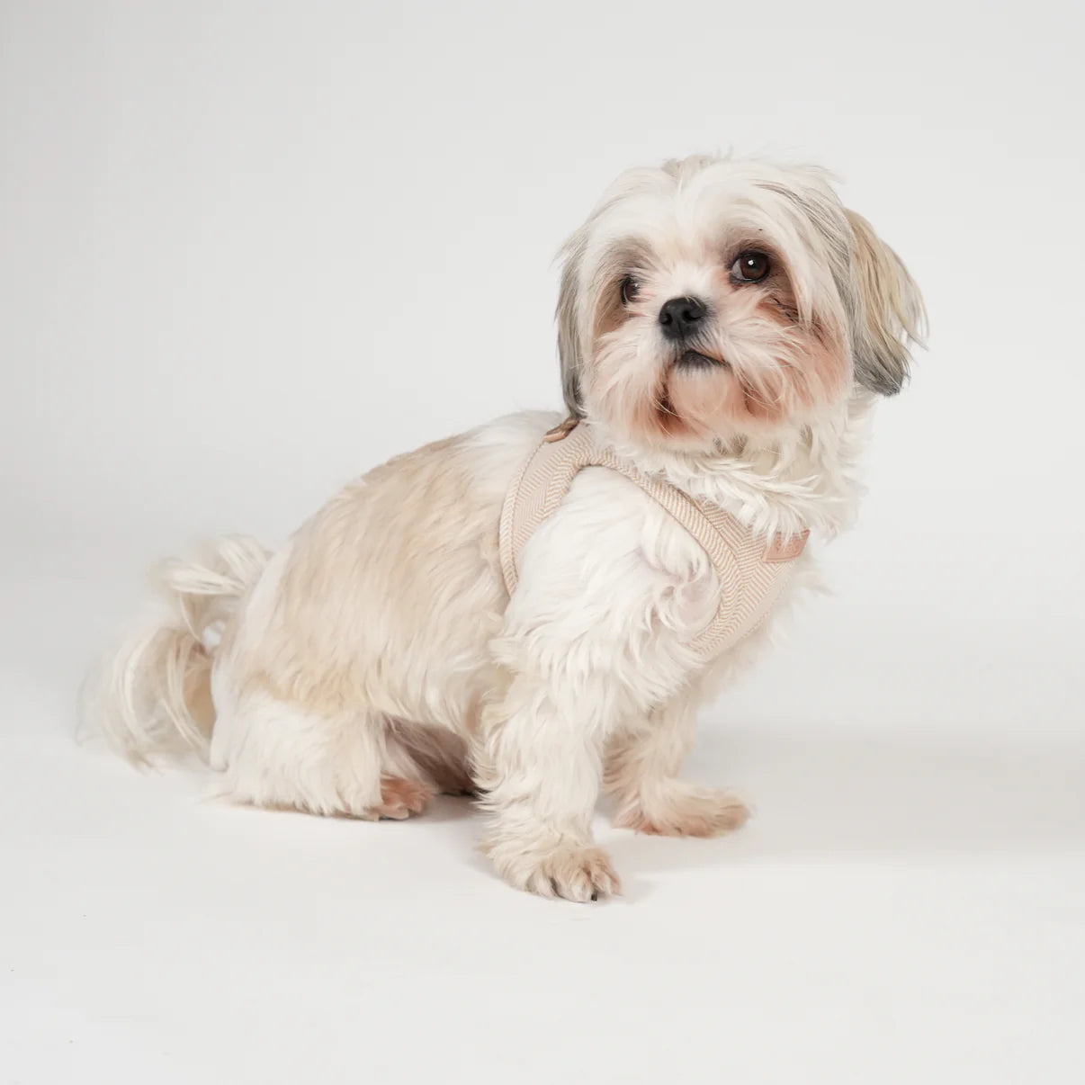 Saga Step-In hundsele | Ljus ros