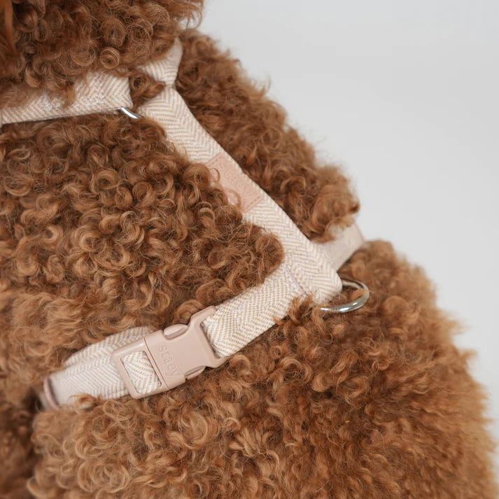 Tara H-Strap hundsele | Ljus ros