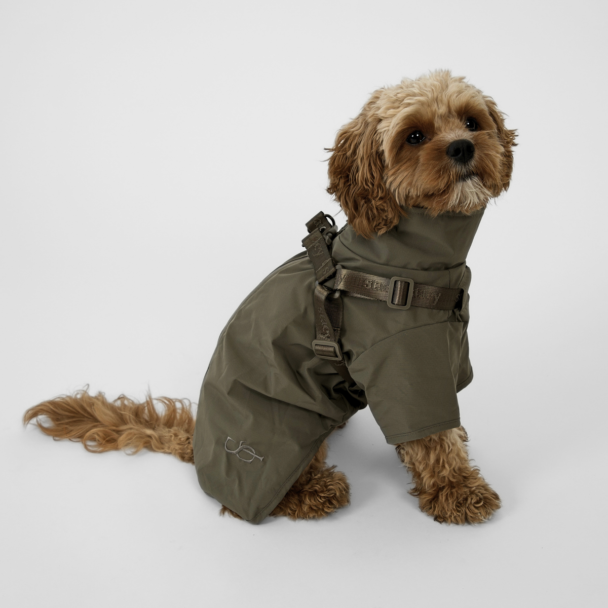 En cavapoo som sitter i den mossgröna Leva-regnrocken med selen med spännen