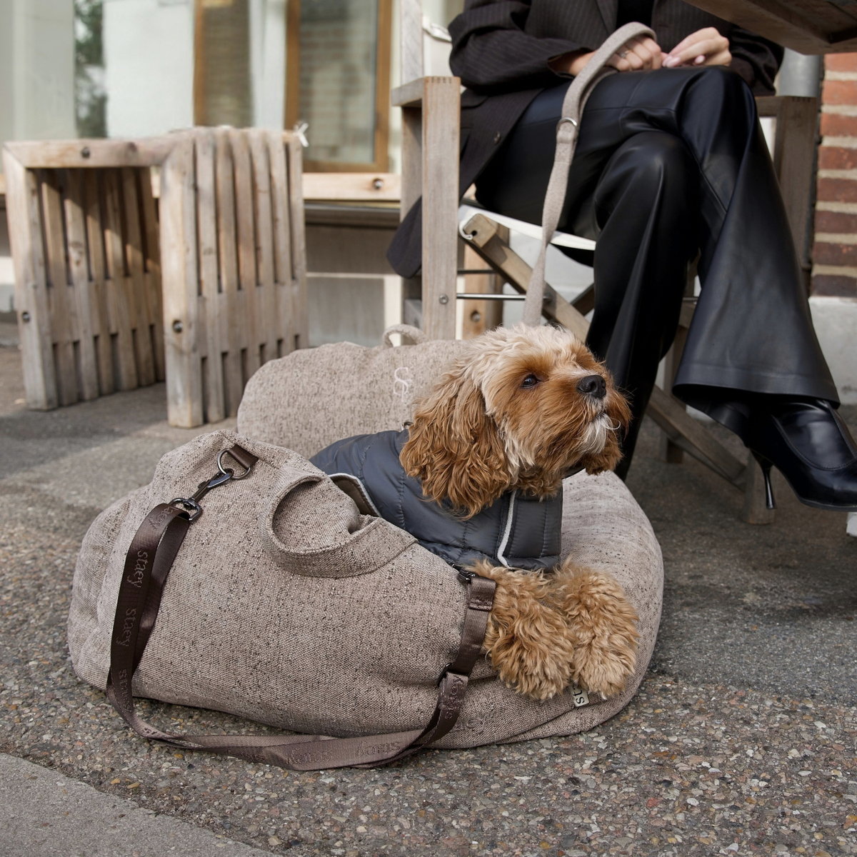 Tova 2-i-1 bilsäte för hund | Sand