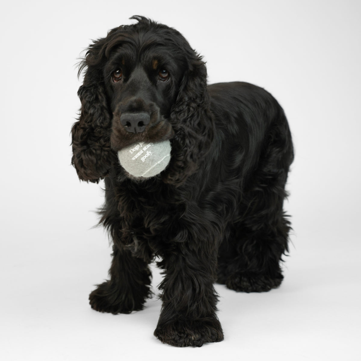 Pipboll | 2-pack