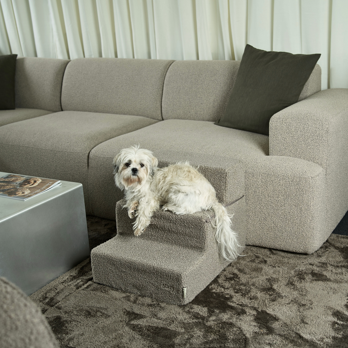 Hundtrappa | Teddy